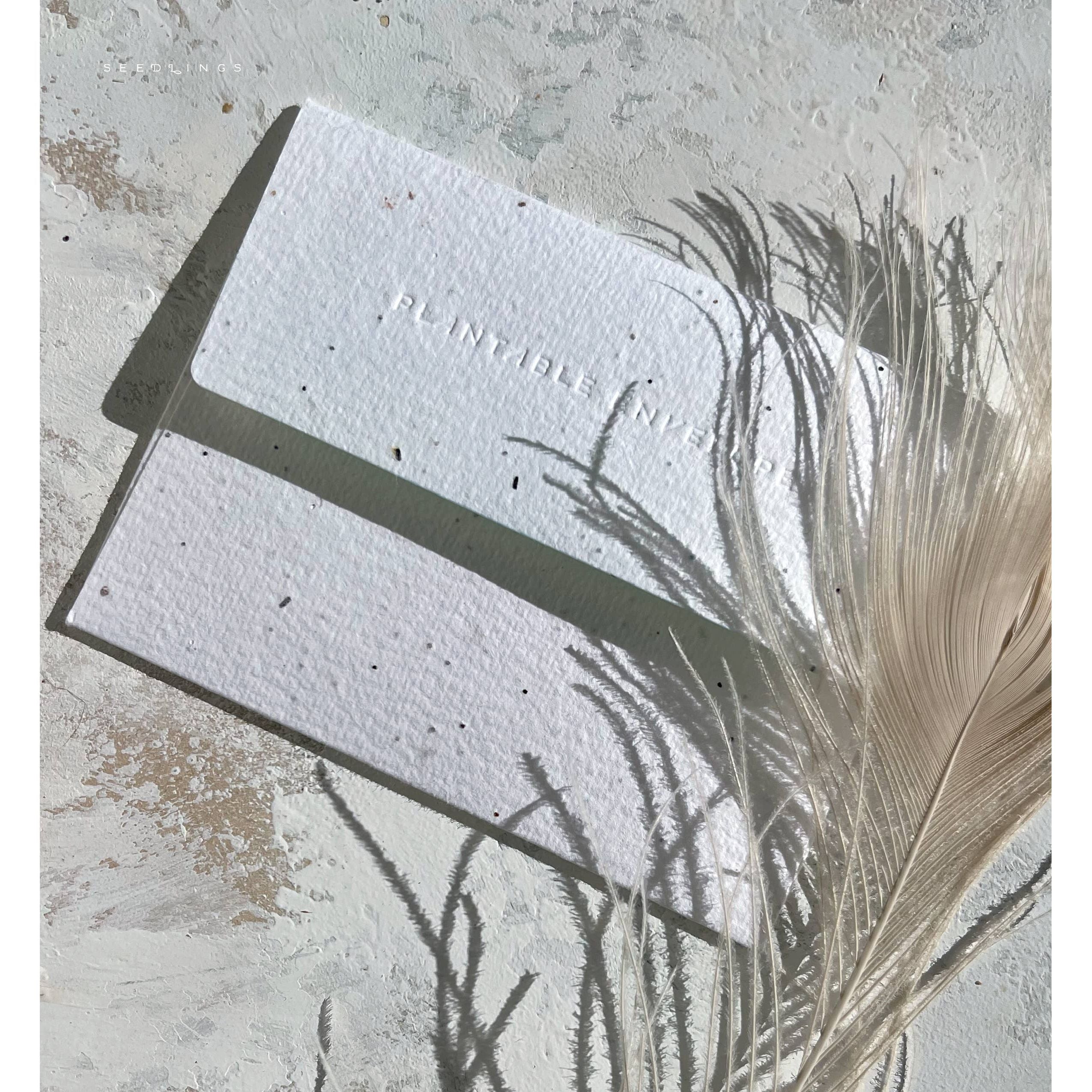 Whales - Love + Friendship Card