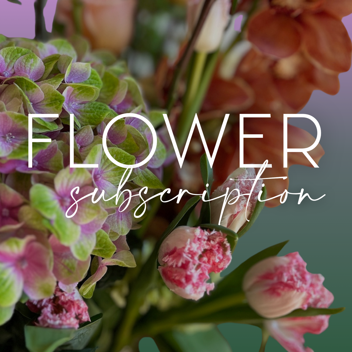 Flower Subscription