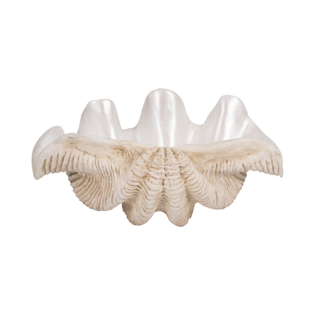 Ivory Pearlized Clam Shell Bowl