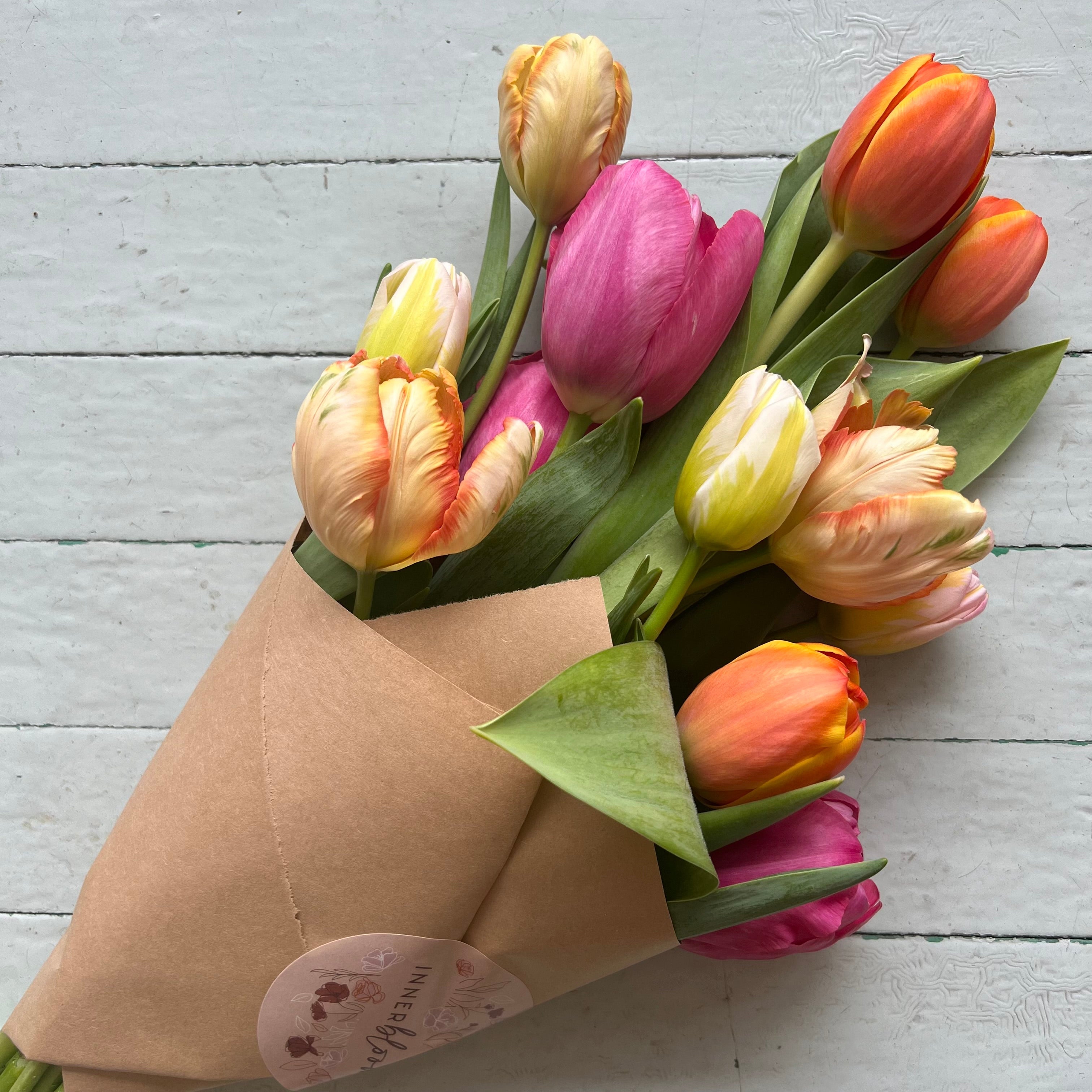 Mono-bloom Bundle