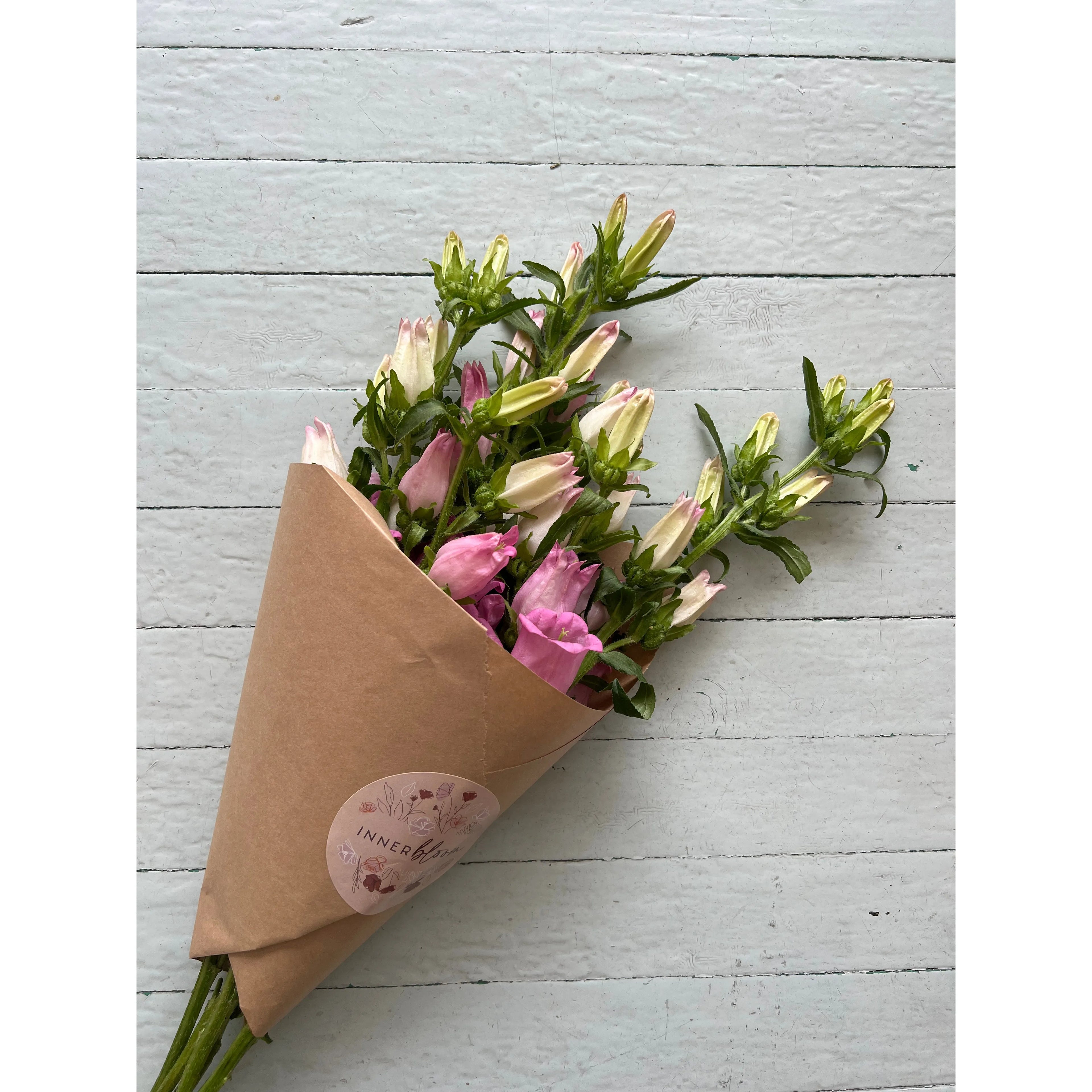 Mono-bloom Bundle