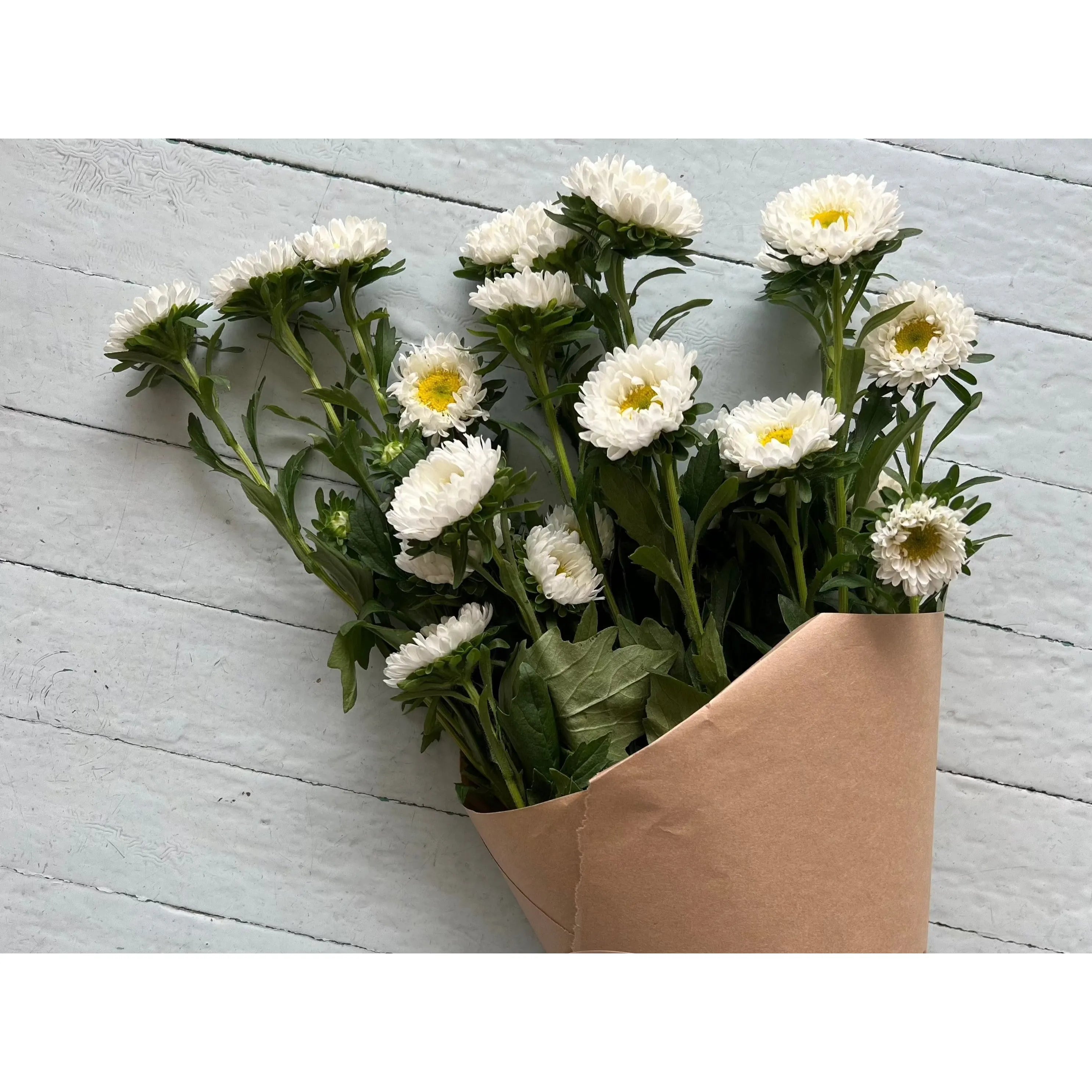 Mono-bloom Bundle
