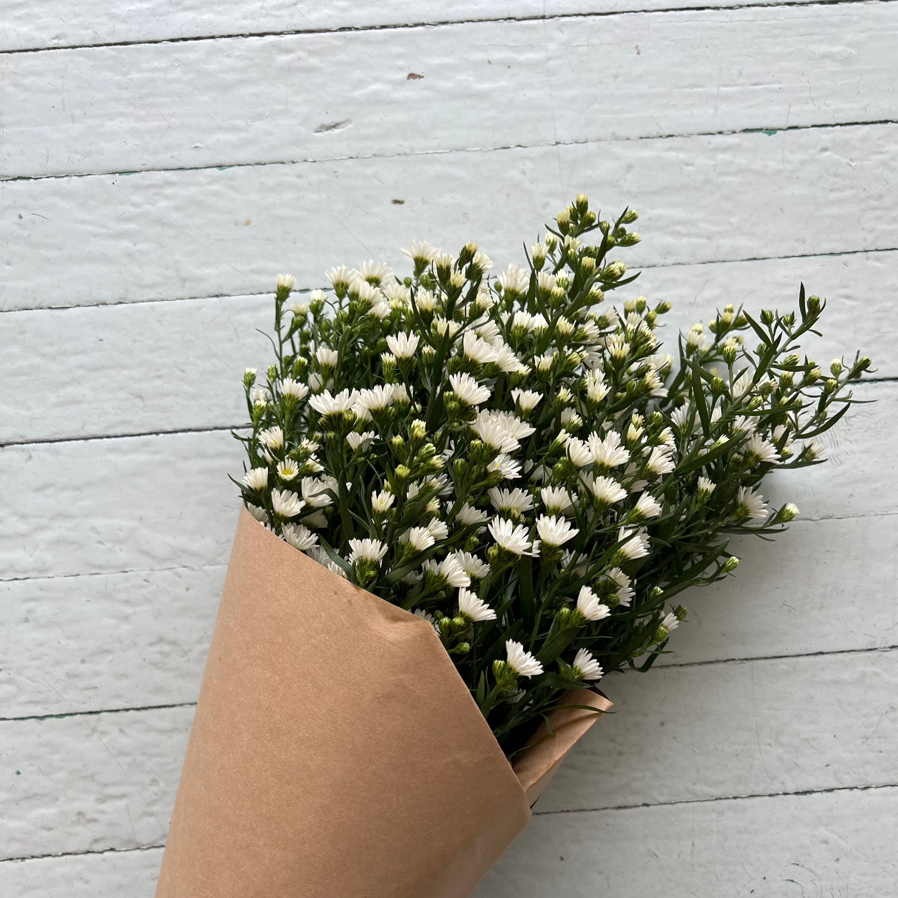 Mono-bloom Bundle