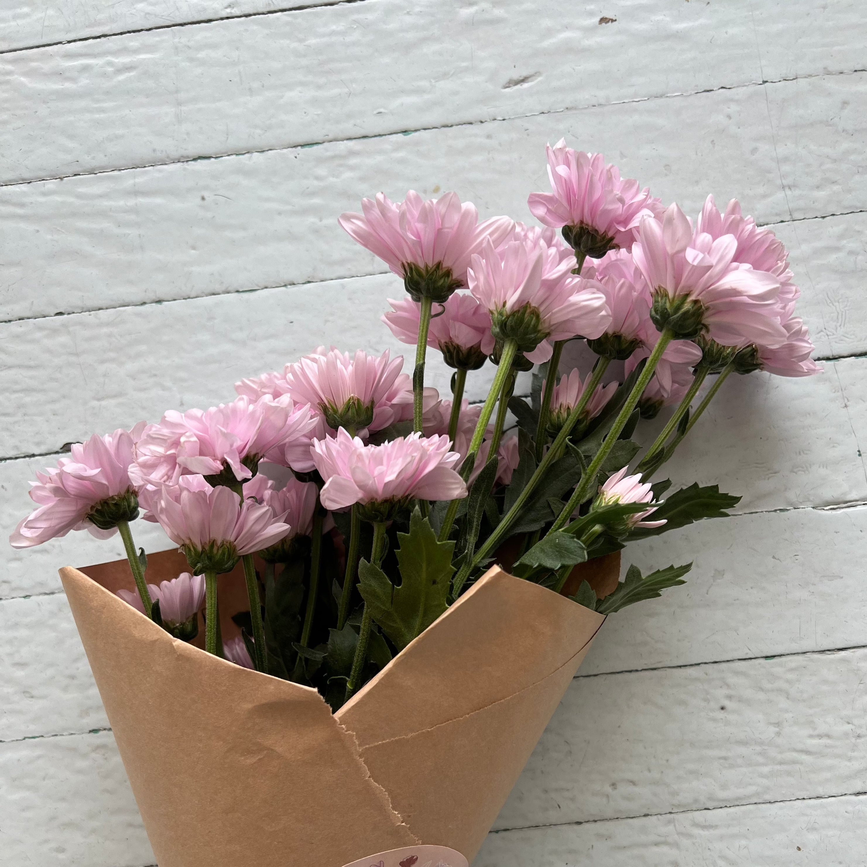 Mono-bloom Bundle