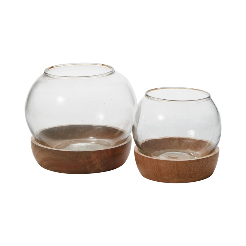Full View Terrarium