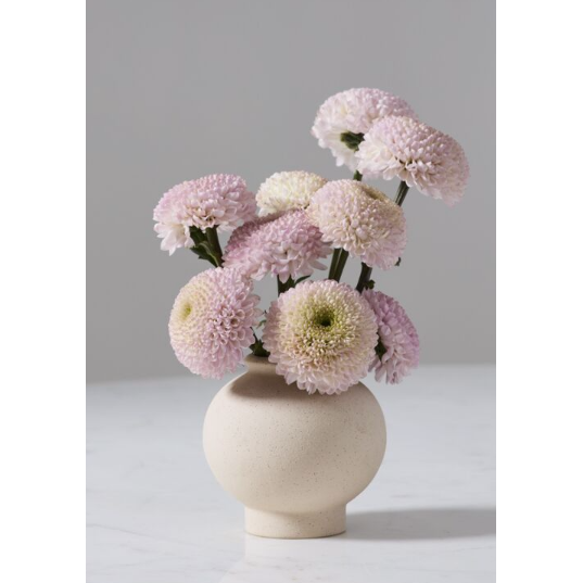 Stockton Bud Vase