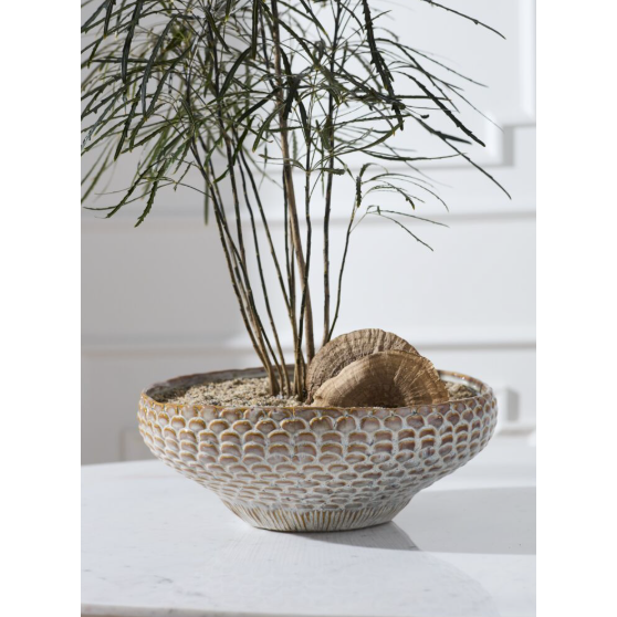 White Oak Bowl