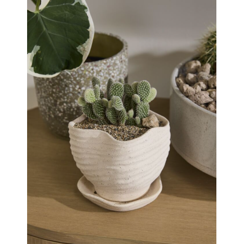 Highland Pot with Saucer