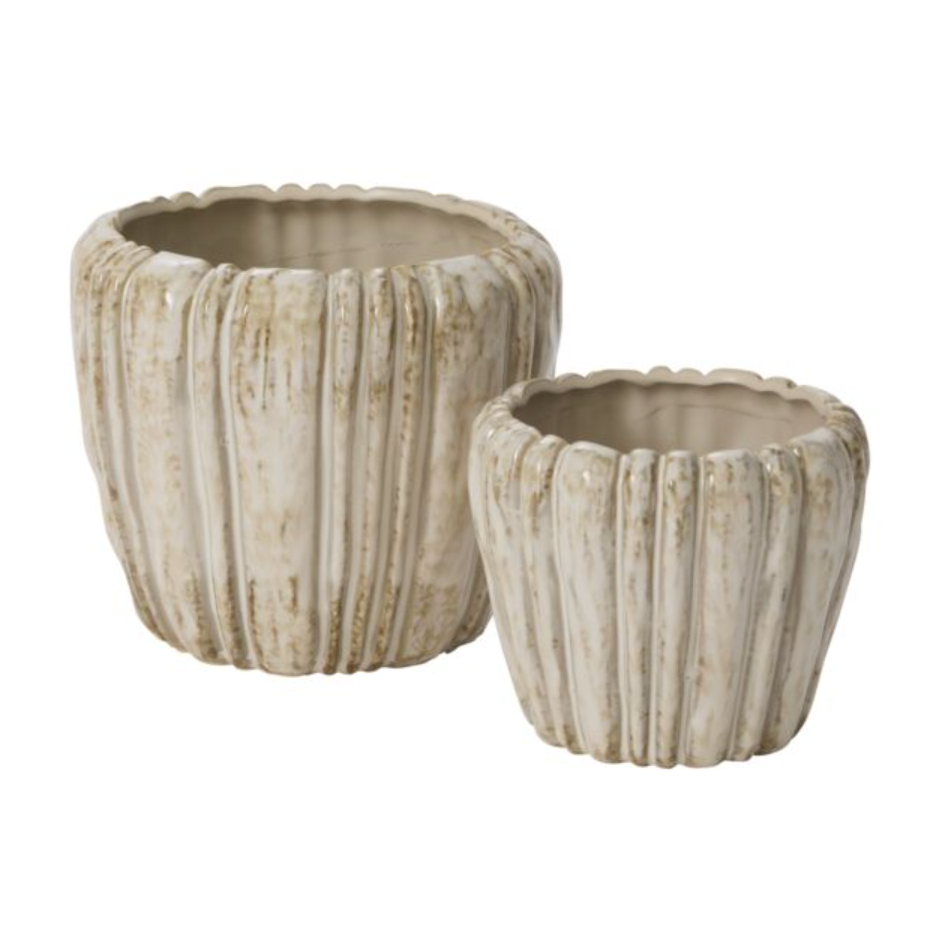 Cedric Pot