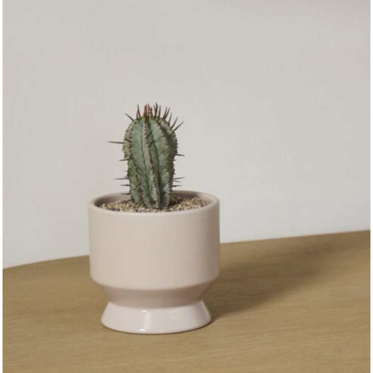 Pasadena Pot
