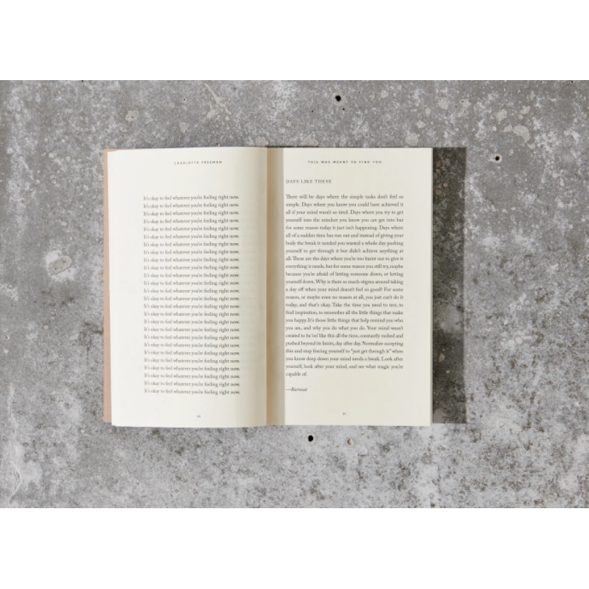 This Was Meant To Find You (When You Needed It Most) - book