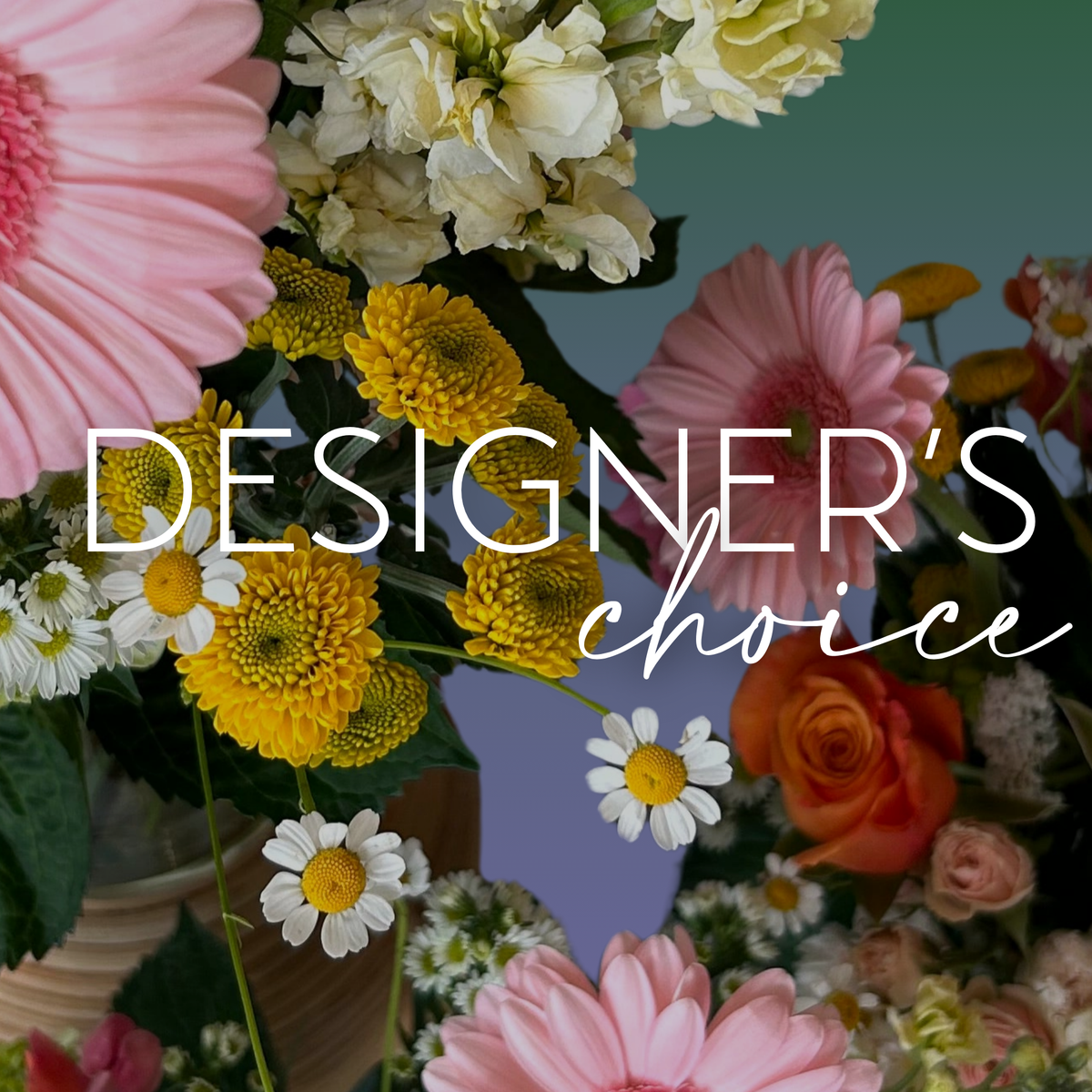 Designer&