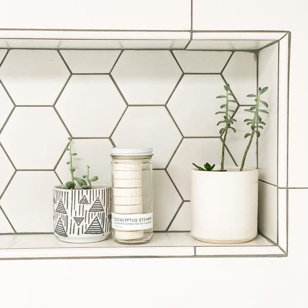eucalyptus plant indoor shower EUCALYPTUS STEAM Cleansing vapors for the shower – INNERBLOOM FLORAL