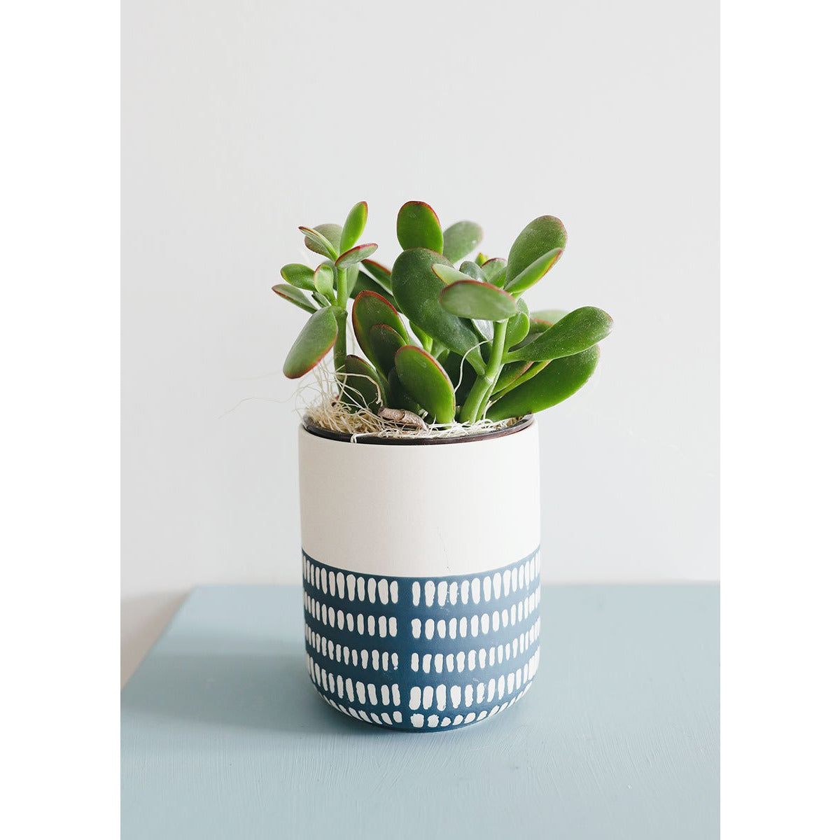 white geometric plant pot Blue and White Geometric Flower Pot
