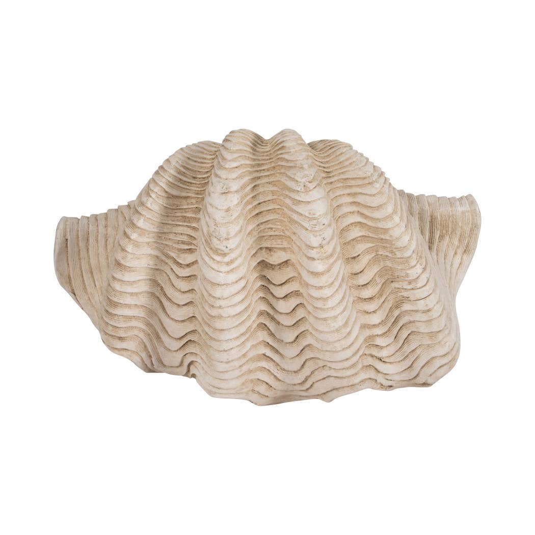 Ivory Pearlized Clam Shell Bowl