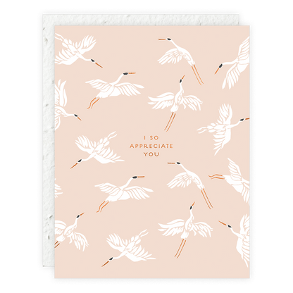 I So Appreciate You - Thank You Card