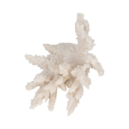 Resin Novelty Coastal Coral Reef Figurine