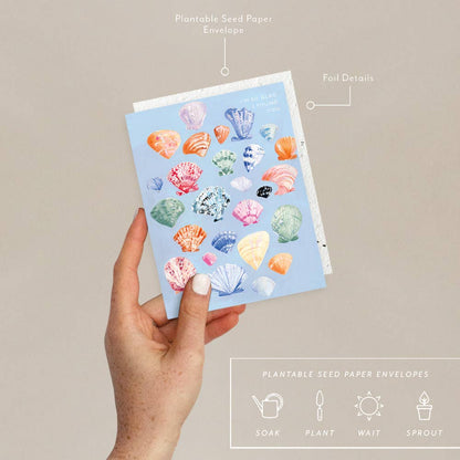 Love Shell Bloom Shell Shells - Love + Friendship Card – INNERBLOOM FLORAL