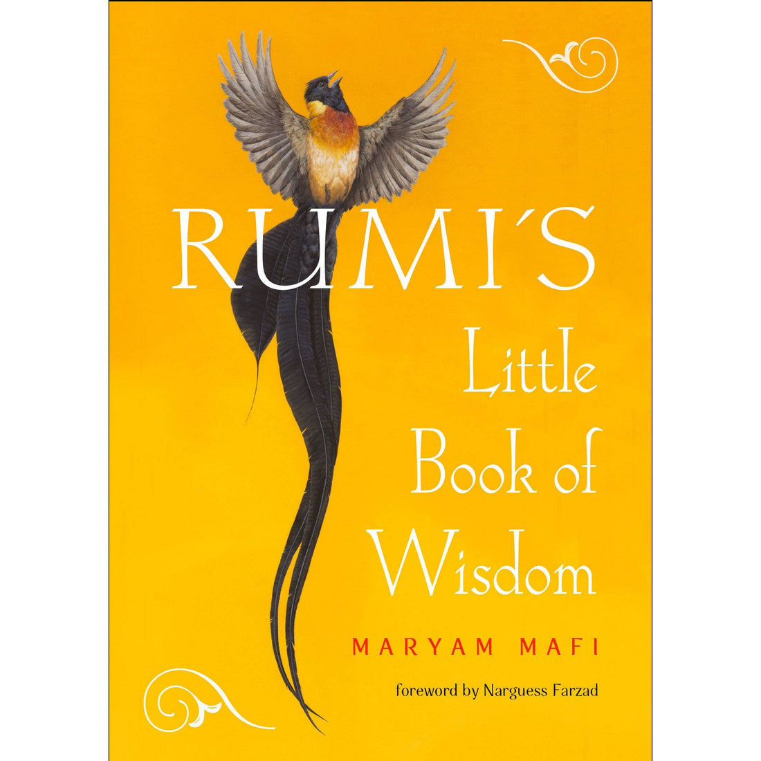 Rumi&