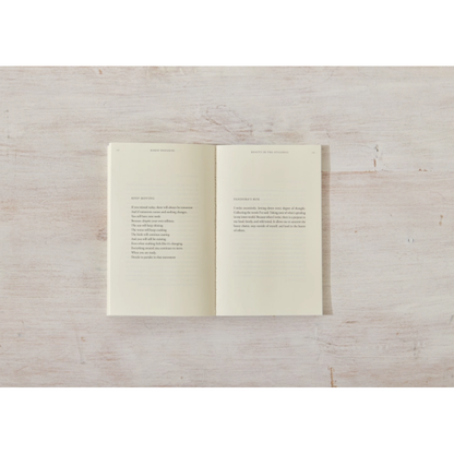 Beauty In The Stillness - book