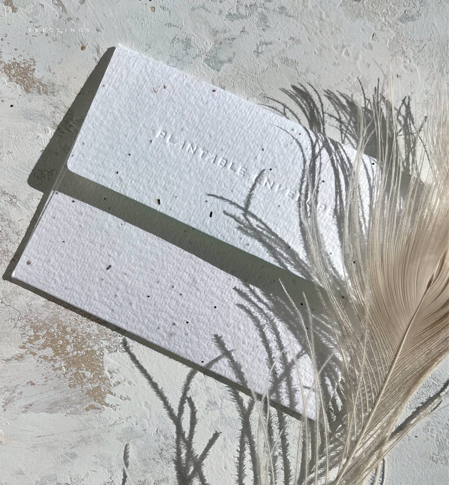 Longview - Birthday Card