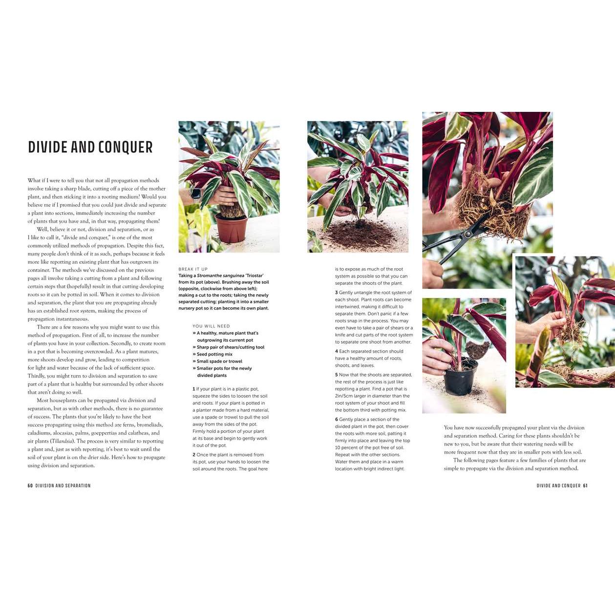 Propagation Handbook by Hilton Carter