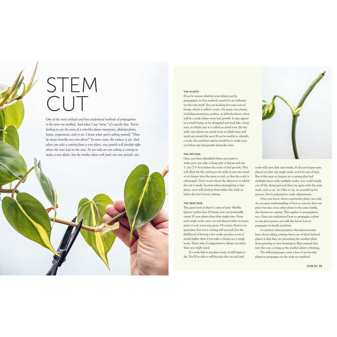 Propagation Handbook by Hilton Carter