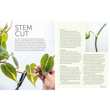 Propagation Handbook by Hilton Carter
