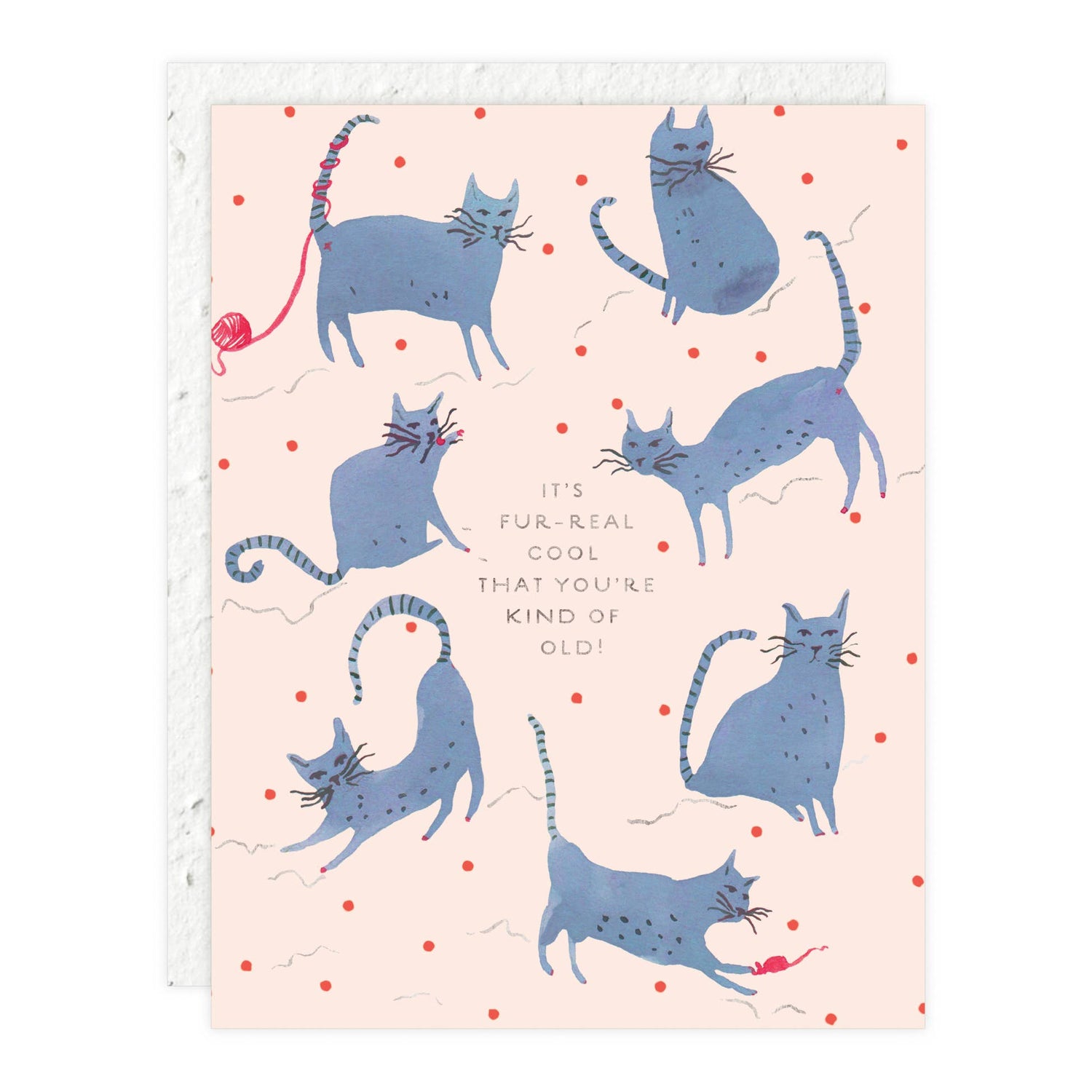 Playful Cats - Birthday Card