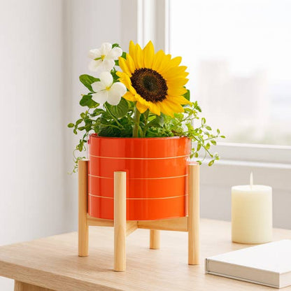 Ceramic Wood Stand Bright Striped Planter