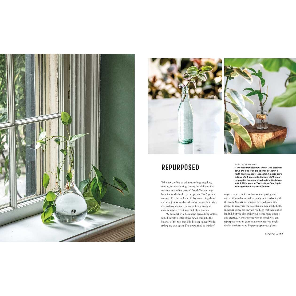 Propagation Handbook by Hilton Carter