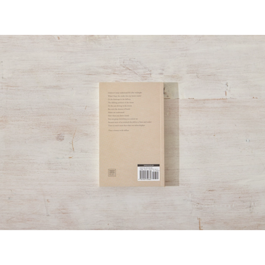 Beauty In The Stillness - book