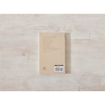 Beauty In The Stillness - book