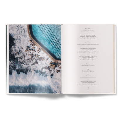 The Nature of Swimming