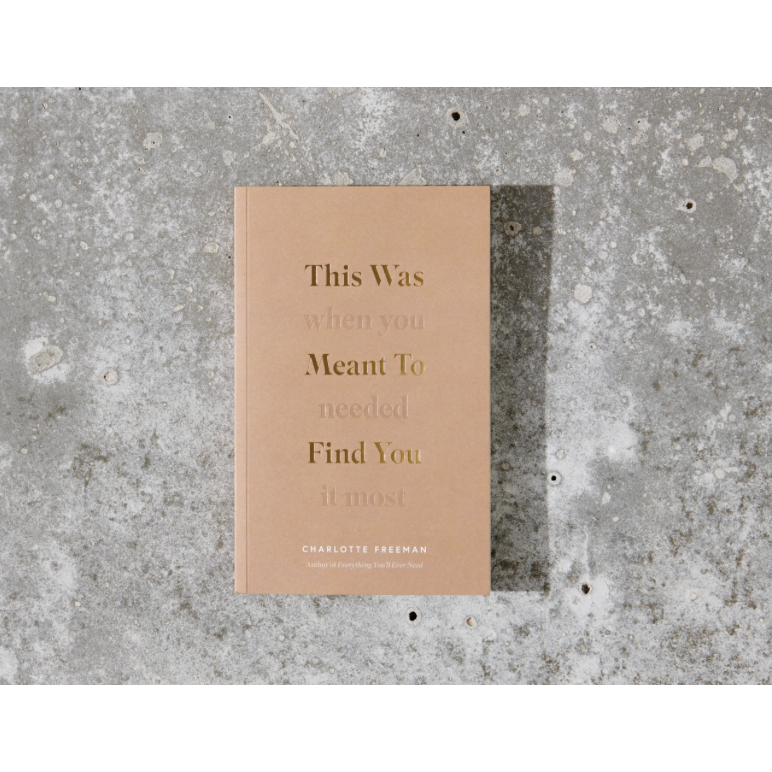 This Was Meant To Find You (When You Needed It Most) - book