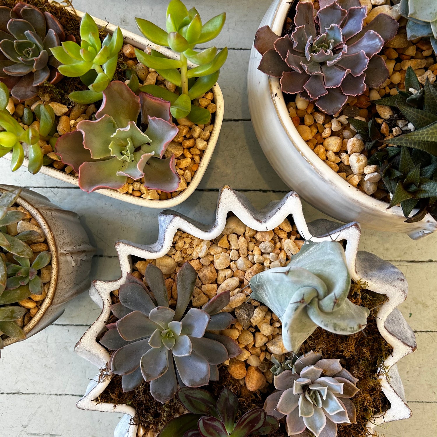 floral succulent arrangements Succulent Garden – INNERBLOOM FLORAL