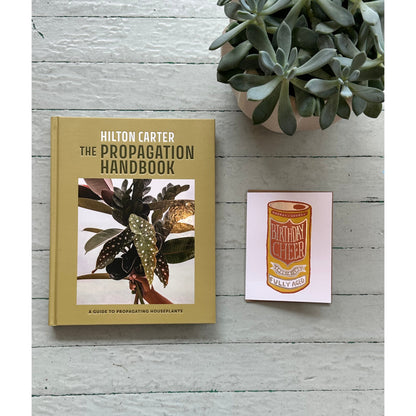 Curated Gift with Flowers