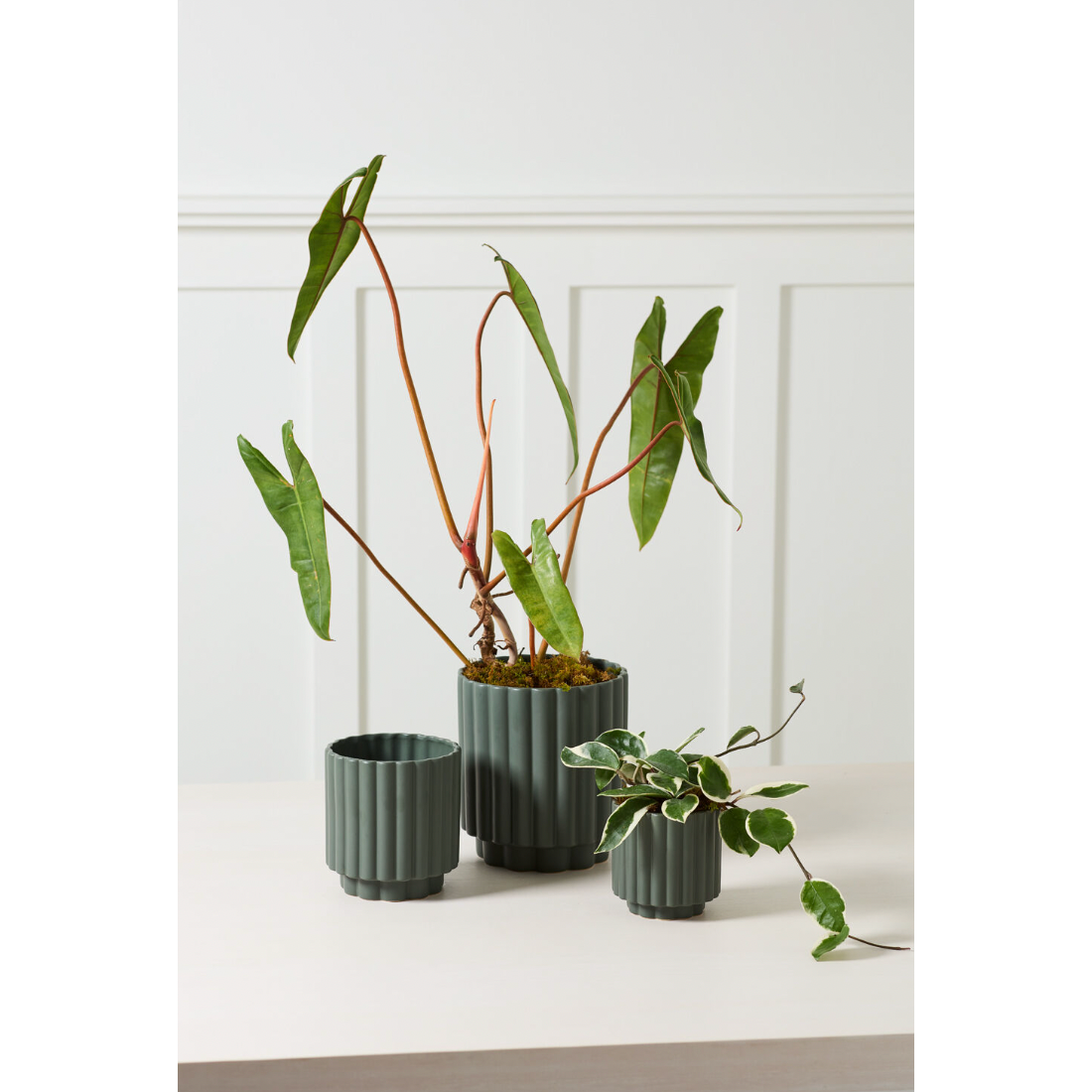Carmen Pot