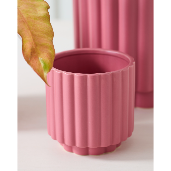 Carmen Pot