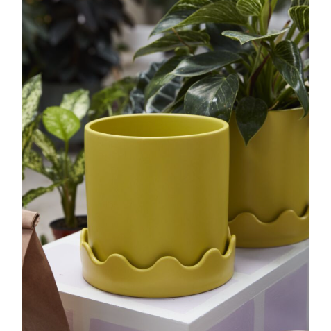Pisarro Pot with Saucer
