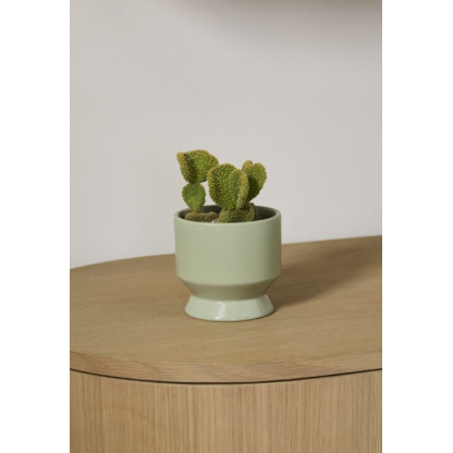 Pasadena Pot