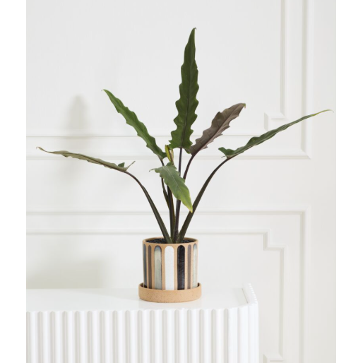 Truman Pot with Saucer