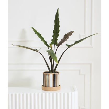 Truman Pot with Saucer