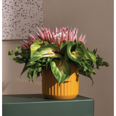 Beam Pot