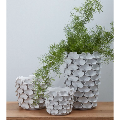 Mandy Pot