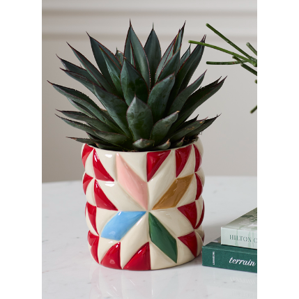 Cozy Quilt Pot