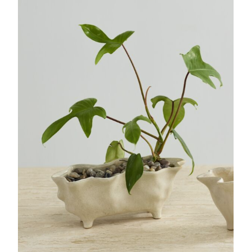 Glaslow Planter