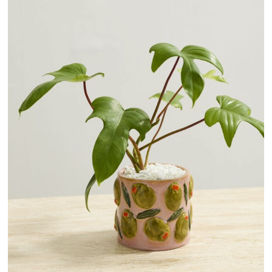 Cucina Pot