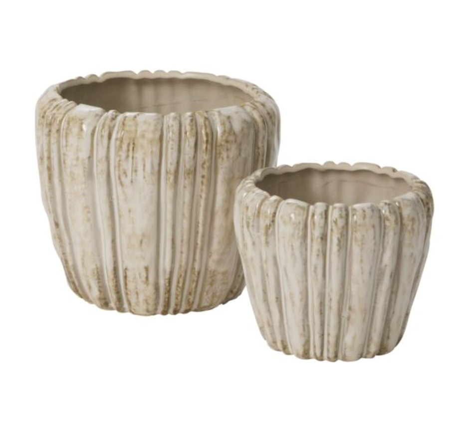 Cedric Pot