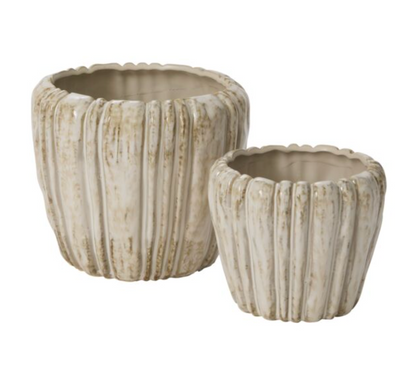 Cedric Pot